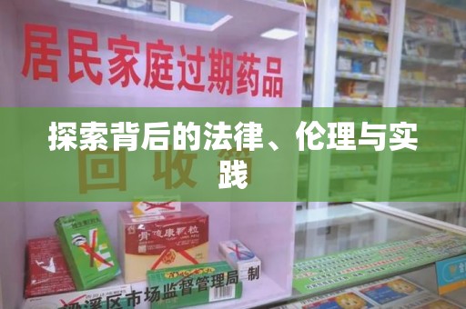 海口探索背后的法律、伦理与实践
