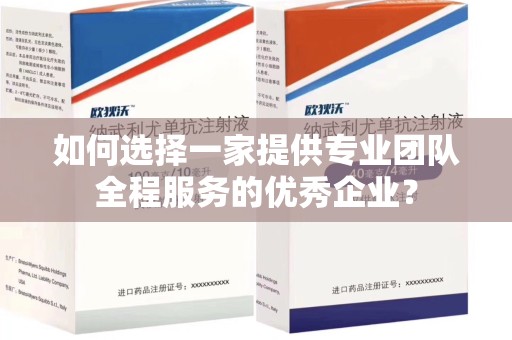 海口如何选择一家提供专业团队全程服务的优秀企业？