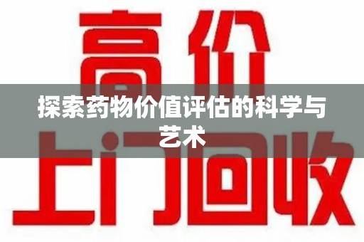 海口探索药物价值评估的科学与艺术