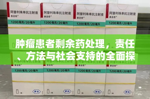 海口肿瘤患者剩余药处理，责任、方法与社会支持的全面探讨
