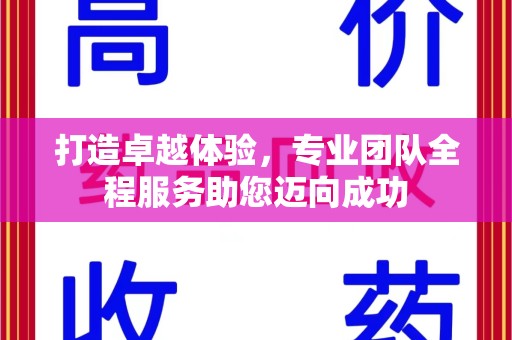 海口打造卓越体验，专业团队全程服务助您迈向成功