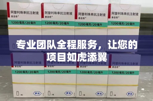 海口专业团队全程服务，让您的项目如虎添翼