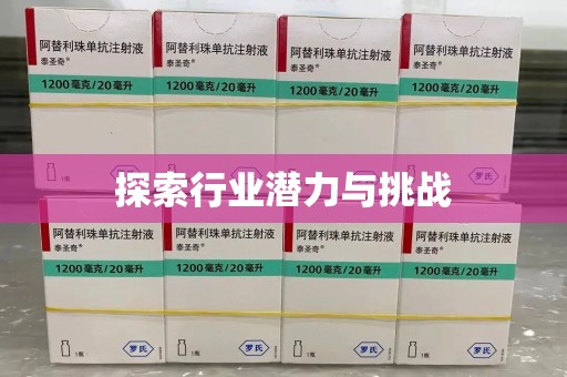 海口探索行业潜力与挑战