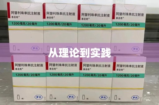 海口从理论到实践