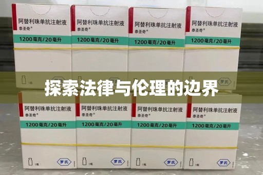 海口探索法律与伦理的边界