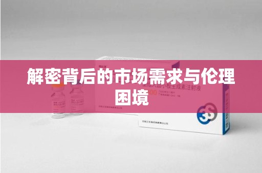 海口解密背后的市场需求与伦理困境
