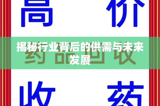 海口揭秘行业背后的供需与未来发展