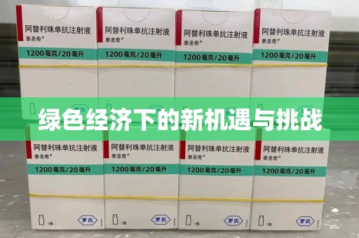 海口绿色经济下的新机遇与挑战