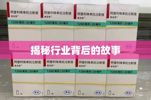 海口揭秘行业背后的故事