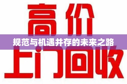海口规范与机遇并存的未来之路