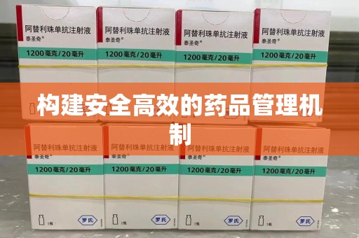海口构建安全高效的药品管理机制