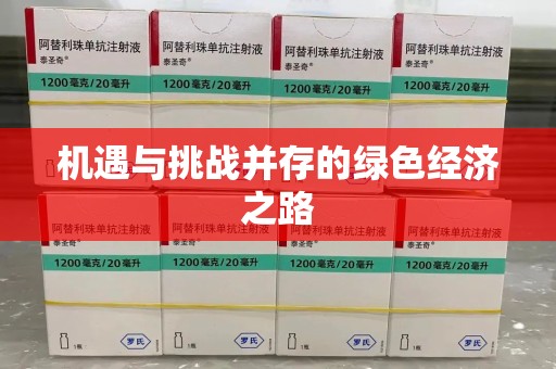 海口机遇与挑战并存的绿色经济之路