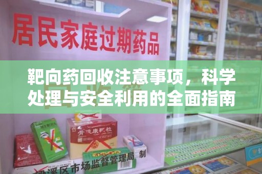海口靶向药回收注意事项，科学处理与安全利用的全面指南
