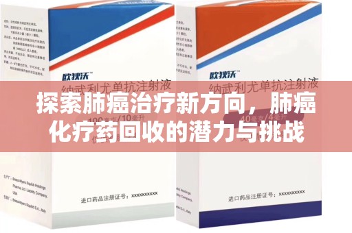 海口探索肺癌治疗新方向，肺癌化疗药回收的潜力与挑战