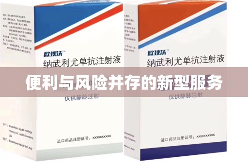 海口便利与风险并存的新型服务