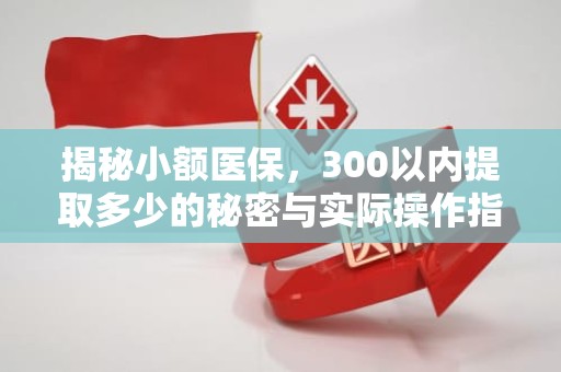 海口揭秘小额医保，300以内提取多少的秘密与实际操作指南