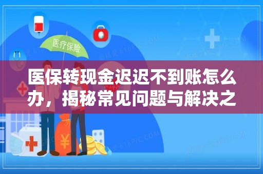 海口医保转现金迟迟不到账怎么办，揭秘常见问题与解决之道