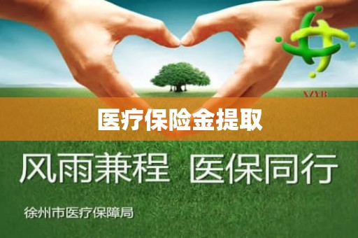 海口医疗保险金提取